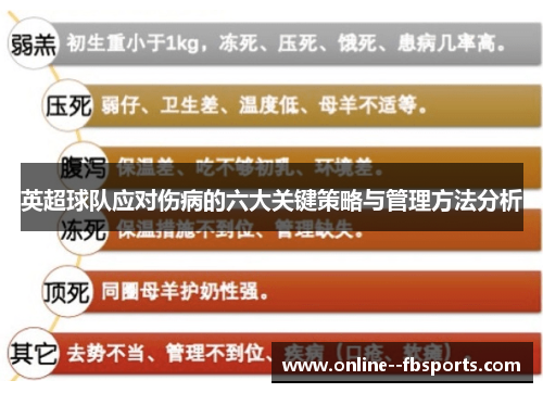 英超球队应对伤病的六大关键策略与管理方法分析 英超球队应对伤病的六大关键策略与管理方法分析